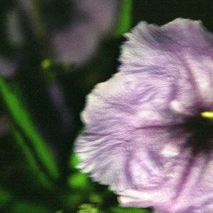 Meet your Posher, Evan